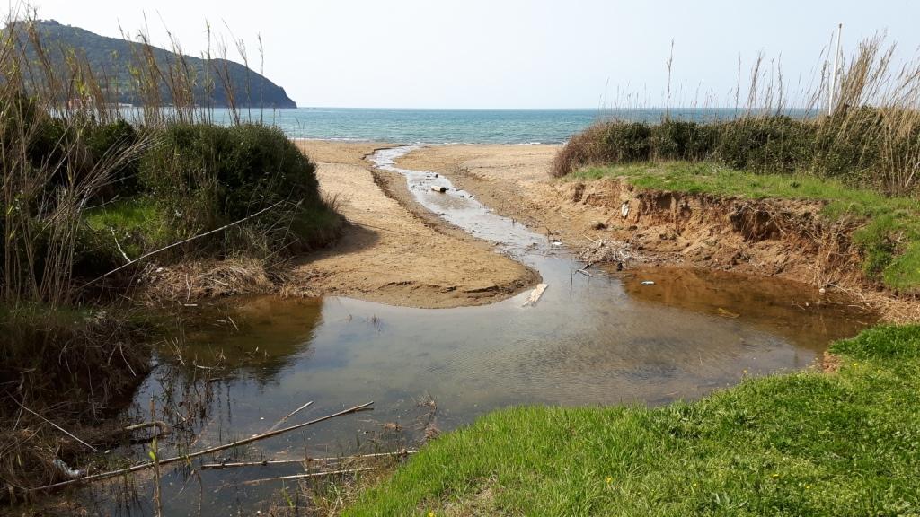 I fossi e lo stagno di Baratti (Piombino - LI)